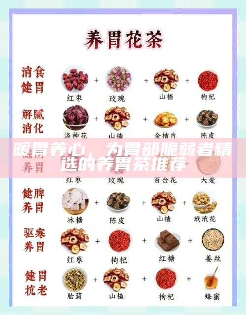 暖胃养心，为胃部脆弱者精选的养胃茶推荐