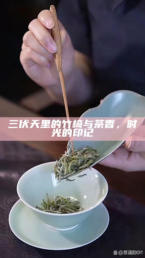 三伏天里的竹椅与茶香,时光的印记
